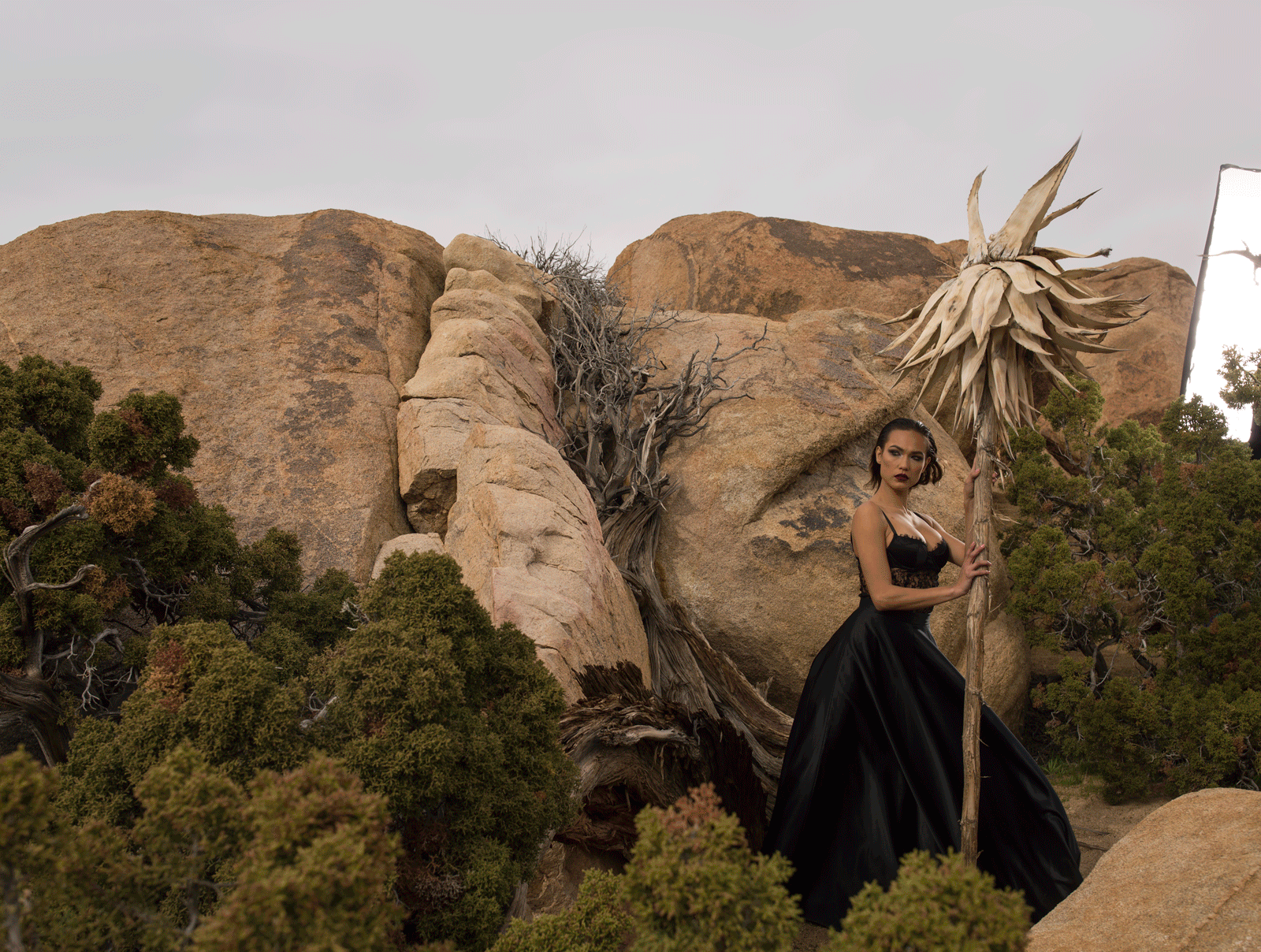 Photo Editing 101-301 Before After