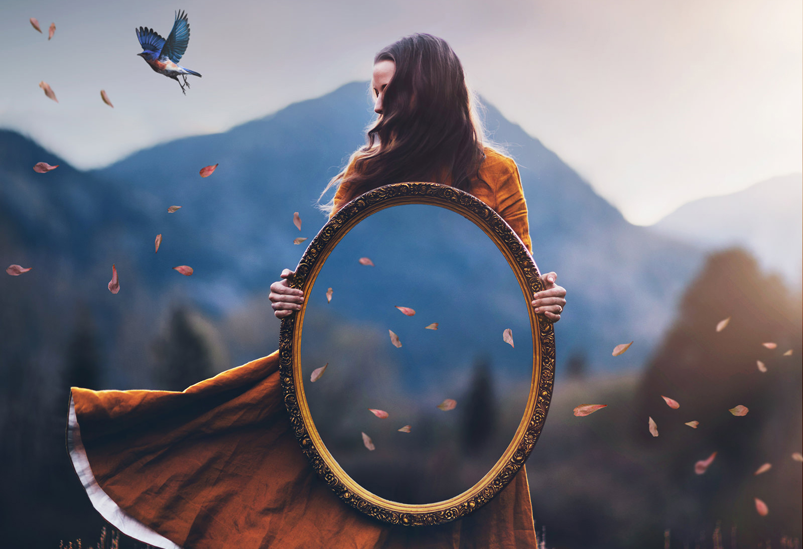 Alexandria Lens Header Image