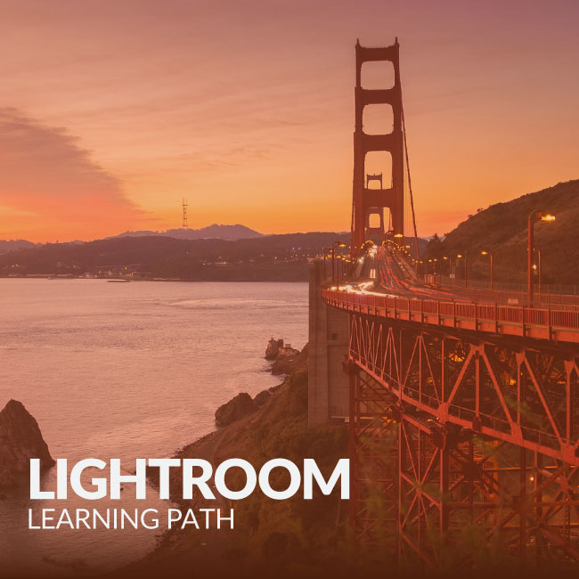 photoshop learning path 2021