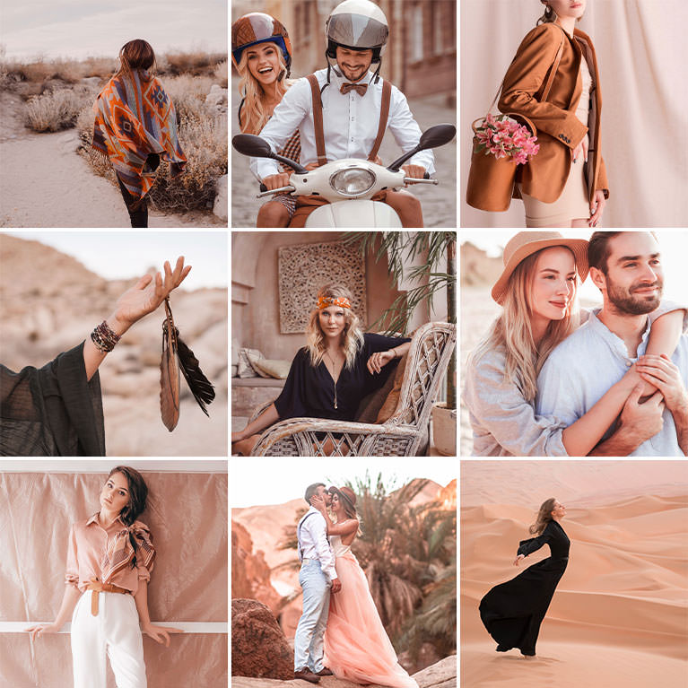 phlearn vibrant browns