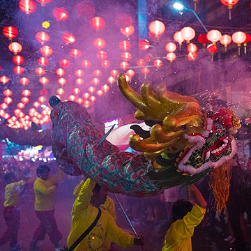 The Ultimate Guide to Lightroom for Desktop & Mobile